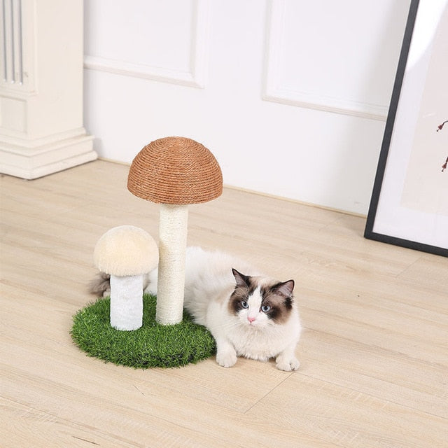 Mushrooms  Cat Scratcher Board