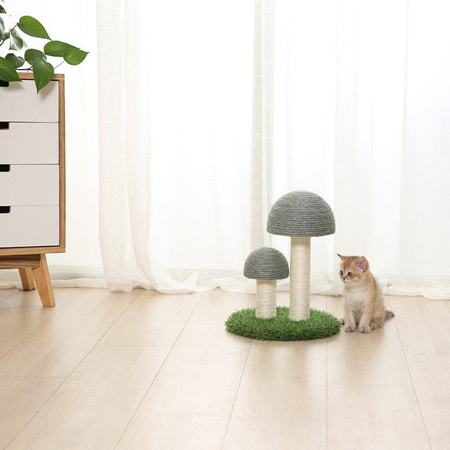 Mushrooms  Cat Scratcher Board