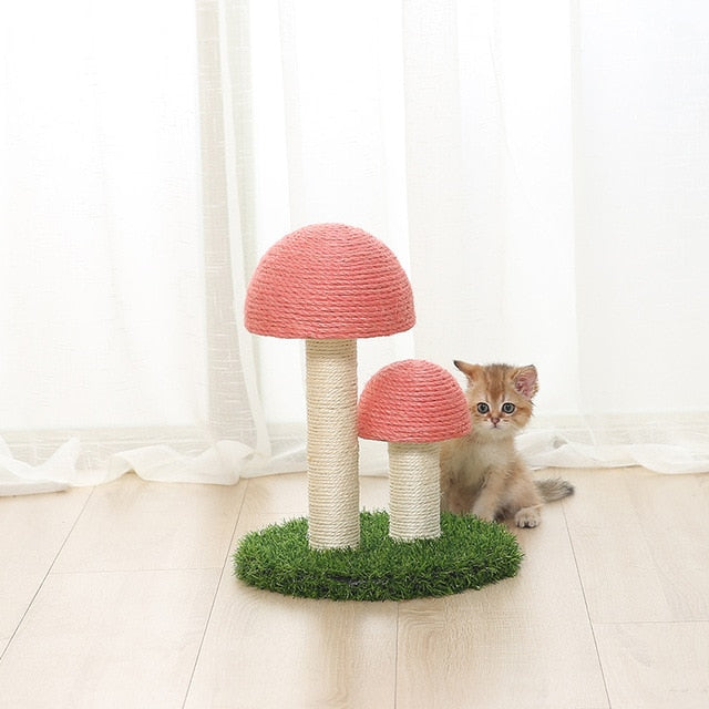 Mushrooms  Cat Scratcher Board