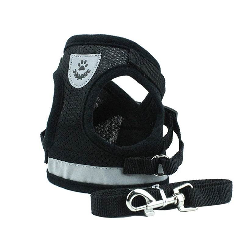 Summer Mesh Pet Harness