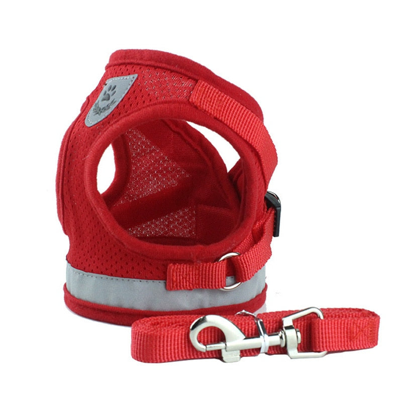 Summer Mesh Pet Harness