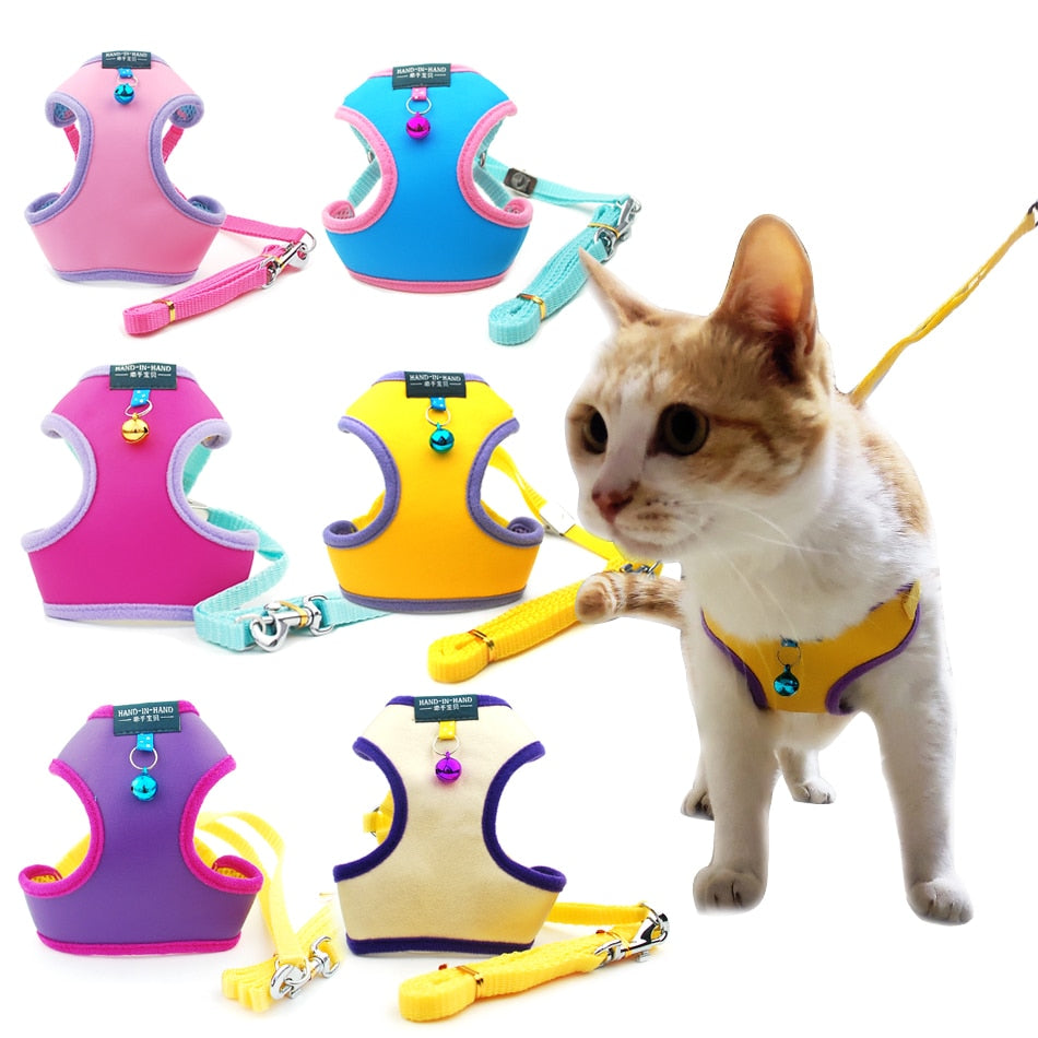 Harness With Bell Walking Leash