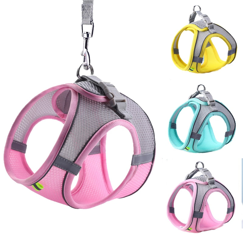 Outdoor Walking Lead Leashes Harness