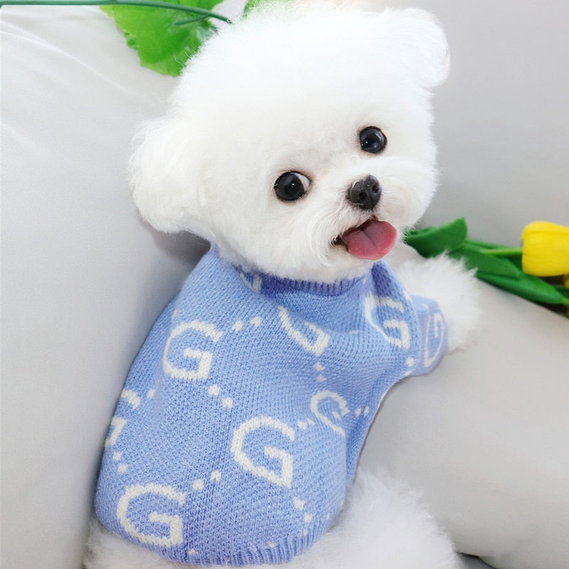 Blue Dog Sweater Creative Letter