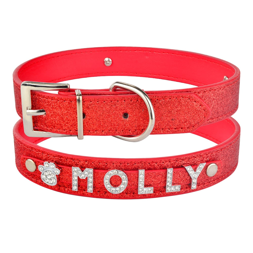 Personalized Dog Collar