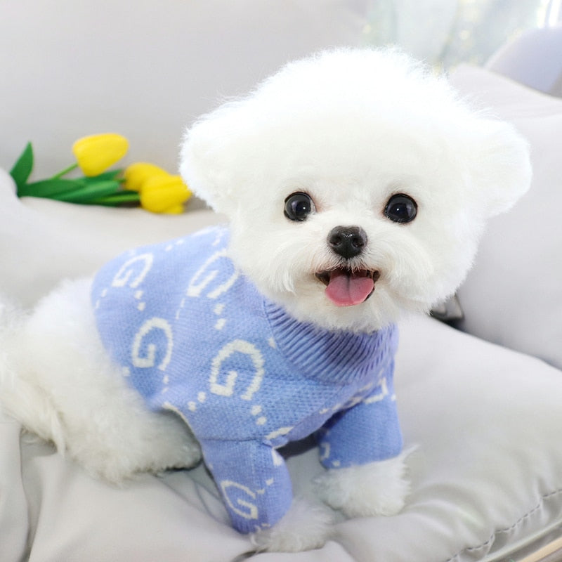 Blue Dog Sweater Creative Letter