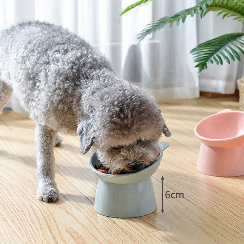 Water Bowl Anti-Overturning Binaural