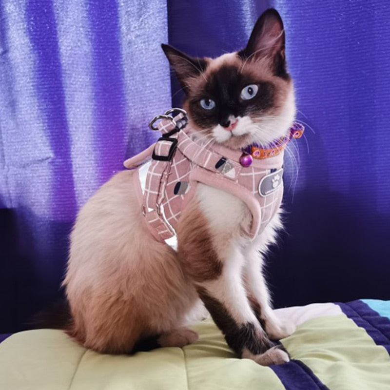 Summer Mesh Pet Harness