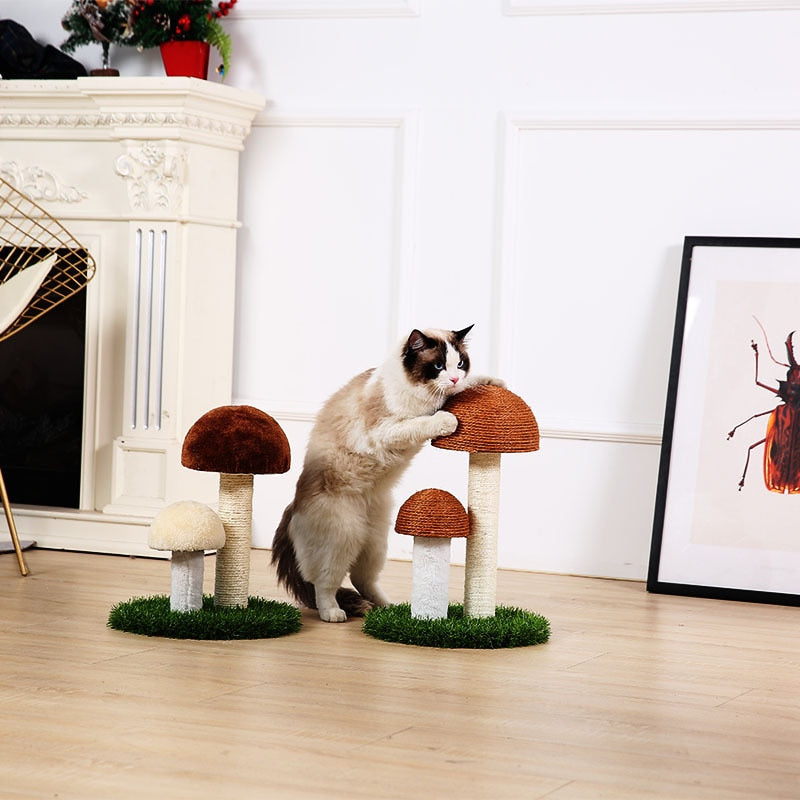 Mushrooms  Cat Scratcher Board