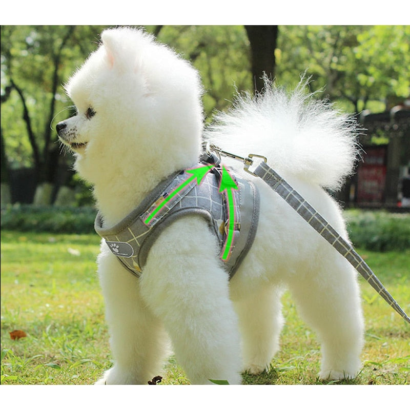 Vest Harness Leads Pet Clothes