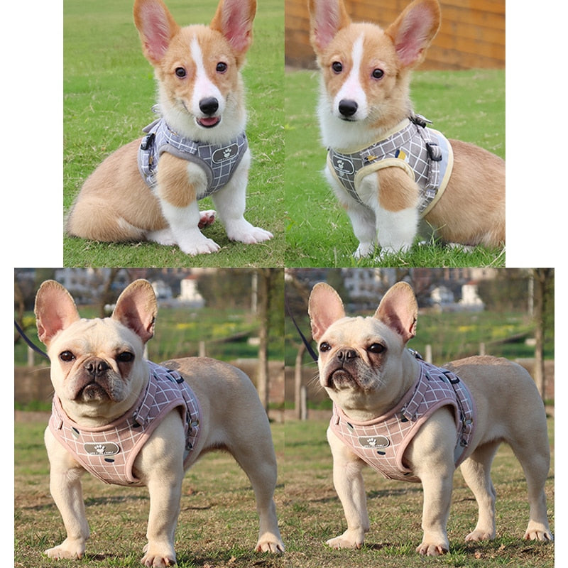 Vest Harness Leads Pet Clothes