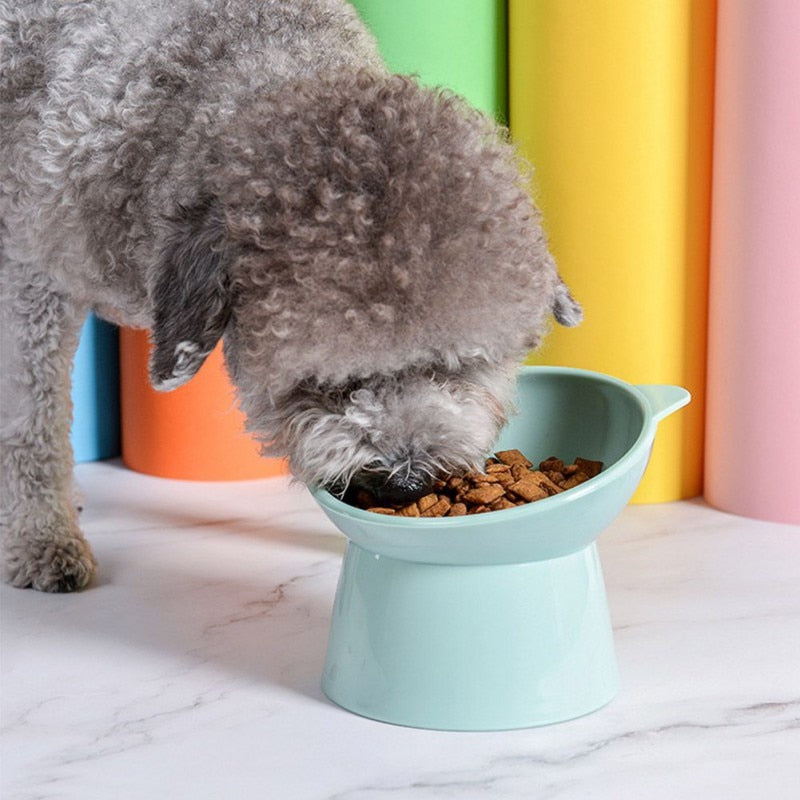 Water Bowl Anti-Overturning Binaural