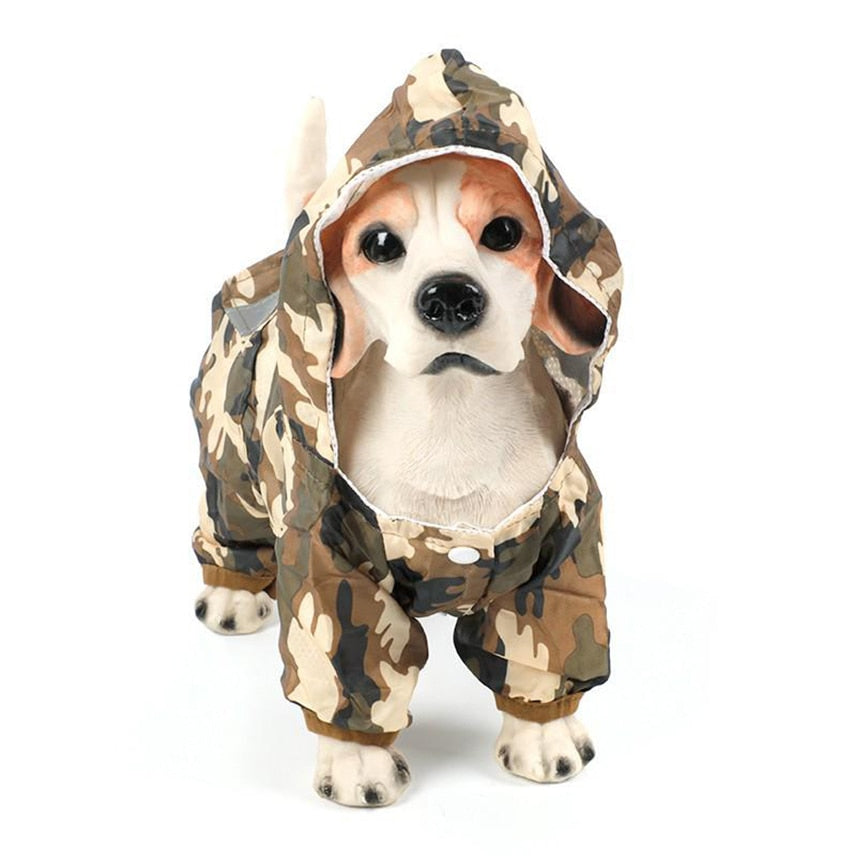 Outdoor Rainwear Hood Apparel