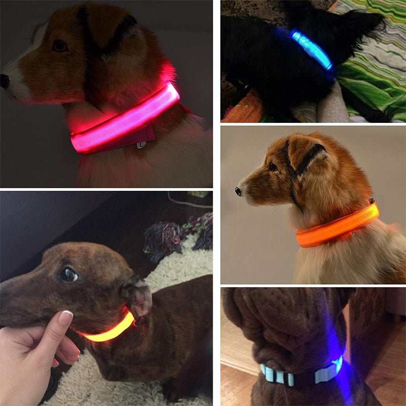 LED Glowing Dog Collar