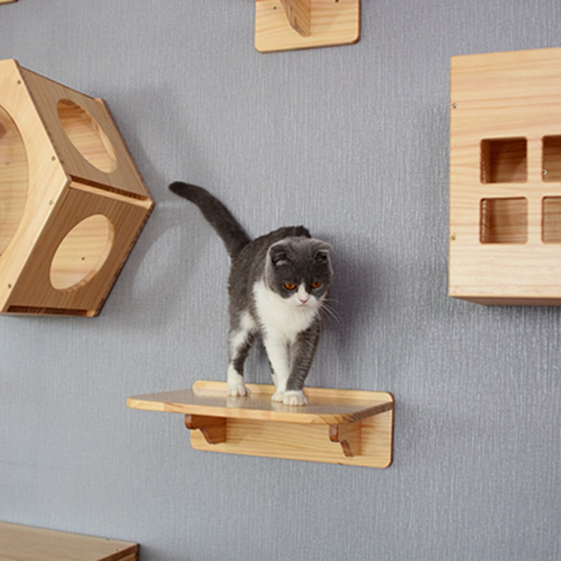 Wood Kitten Jumping Platform